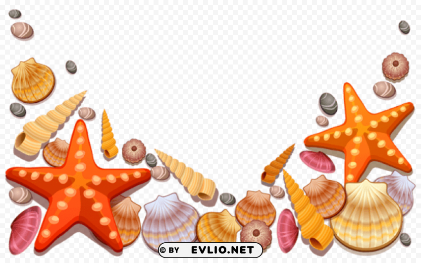 Sea Shells Decor Vector PNG Images With Transparent Canvas Compilation