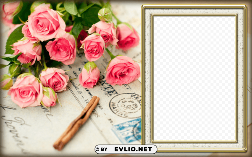 vintage style roseframe PNG images without subscription