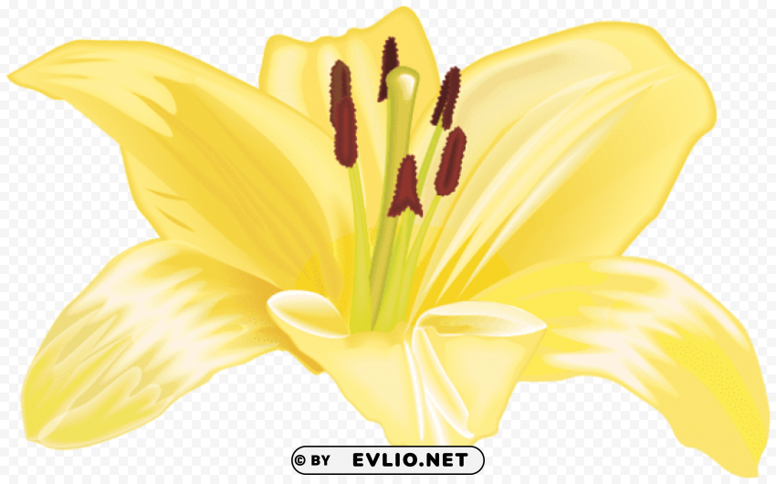 PNG image of yellow flower large Transparent PNG Isolated Design Element with a clear background - Image ID 1da12ed3