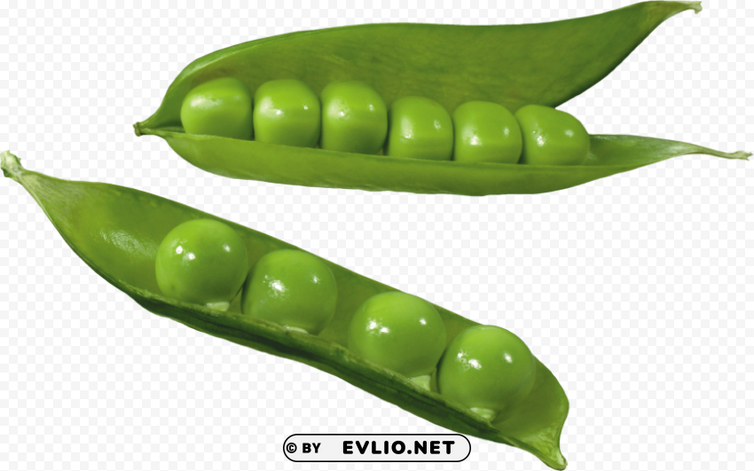 pea PNG Graphic with Isolated Transparency