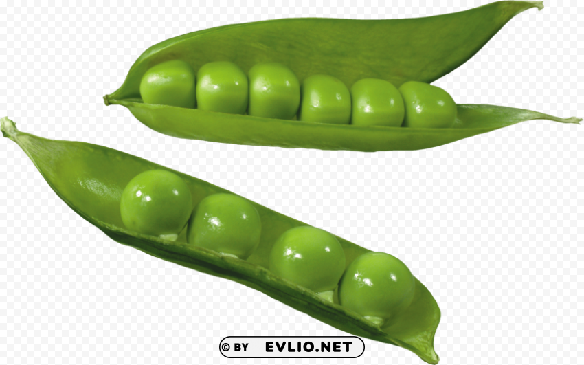 Pea PNG Graphic With Transparent Isolation