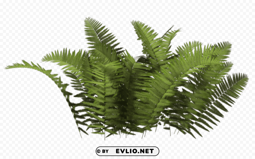 PNG image of plants HighQuality Transparent PNG Isolated Graphic Design with a clear background - Image ID 9b4d782f