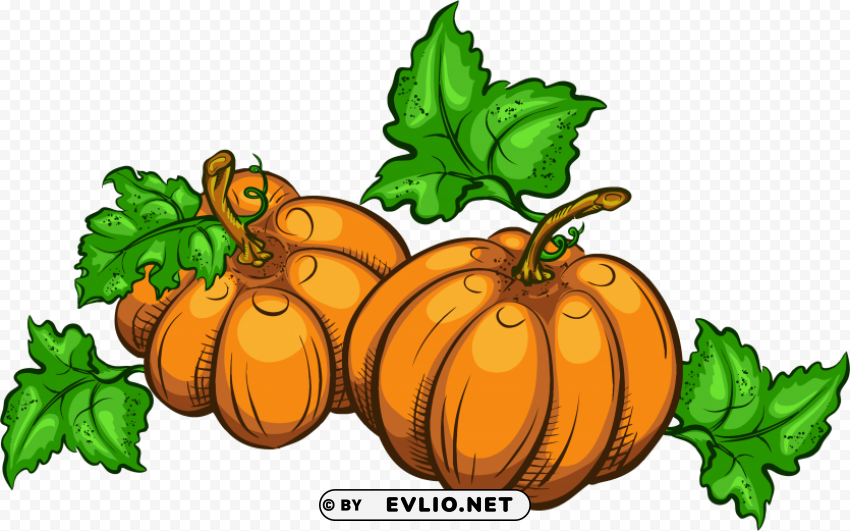 pumpkin Isolated Design Element in HighQuality PNG