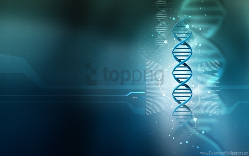 3d dna wallpaper PNG images with clear backgrounds