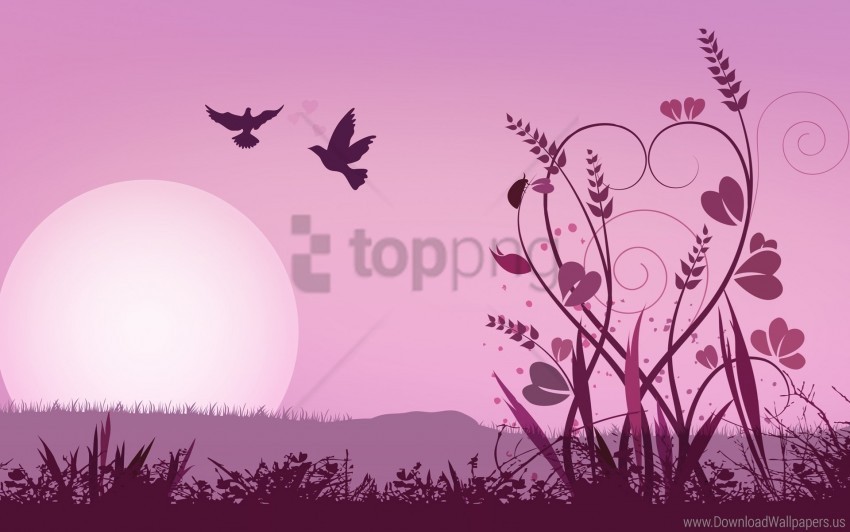 abstraction bird grass pink sun wallpaper PNG images with clear cutout