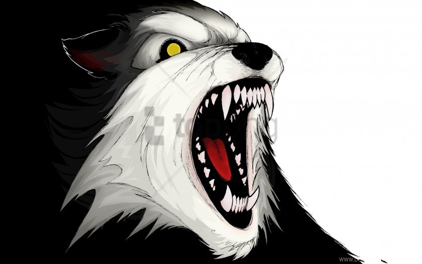 aggression teeth vector wolf wallpaper PNG images with transparent overlay