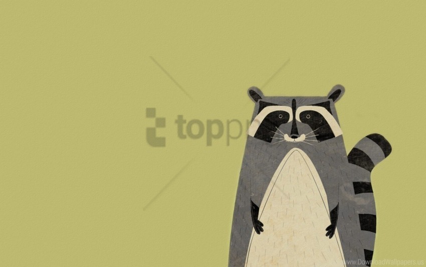 animal minimalism raccoon wallpaper PNG for social media