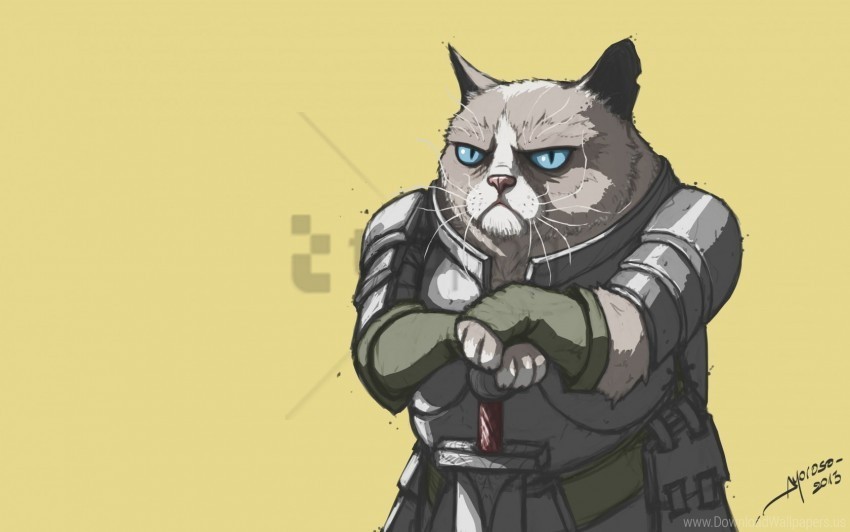 armor grumpy cat meme popular wallpaper Isolated Element in Transparent PNG