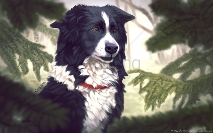 art dog dog collar fir pine needles tree wallpaper Transparent PNG images with high resolution