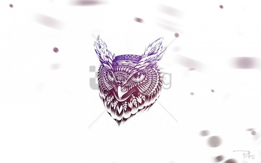 art face feathers owl wallpaper Isolated Item with Clear Background PNG