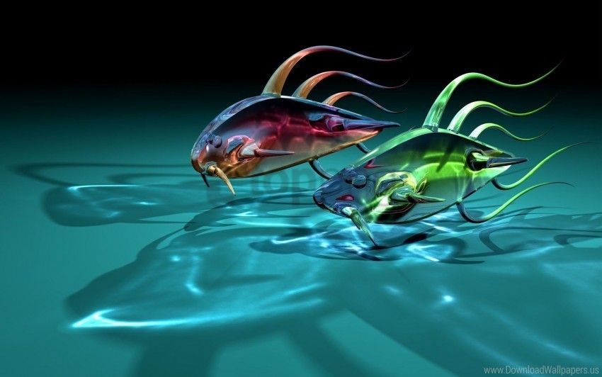 art fish glass goldfish shadow two wallpaper HighQuality PNG Isolated on Transparent Background