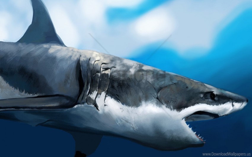 art hunger maw pro shark under the water wallpaper Transparent PNG stock photos