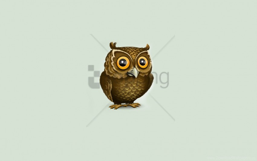 art minimalism owl vector wallpaper Isolated Item on HighResolution Transparent PNG