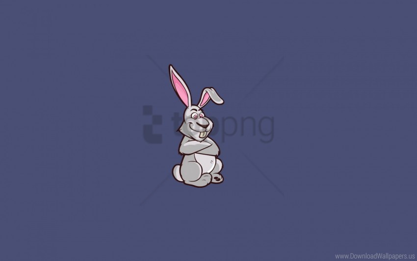 art minimalism picture rabbit wallpaper PNG transparent photos vast collection