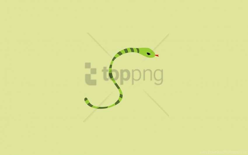 Art Minimalism Snake Wallpaper Isolated Graphic On Transparent PNG