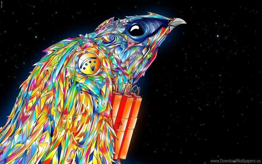  bird colorful paint wallpaper Clear background PNG graphics