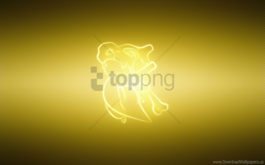 background cubone pokemon wallpaper Transparent PNG images extensive variety