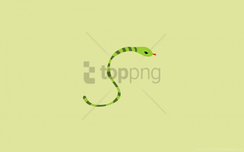 background line minimalism snake wallpaper Isolated Graphic on Transparent PNG