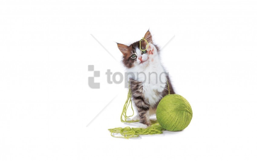 ball cute kitten legs playful wallpaper PNG images with transparent elements