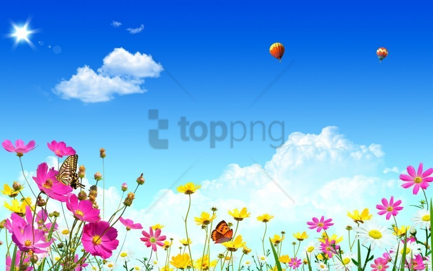 balloons butterflies flowers sky wallpaper PNG images with transparent space