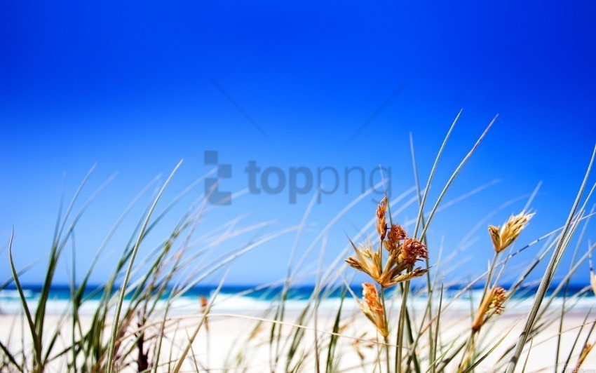 Beach Clear Wallpaper PNG File With Alpha