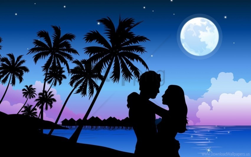 beach couple hugs night palm trees sky wallpaper Transparent pics