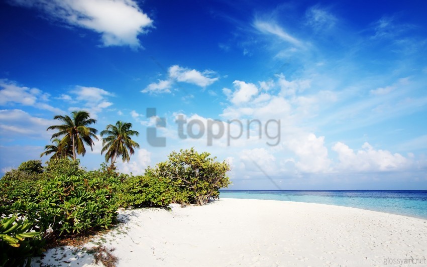 Beach Nature Wallpaper Isolated Subject On HighQuality Transparent PNG