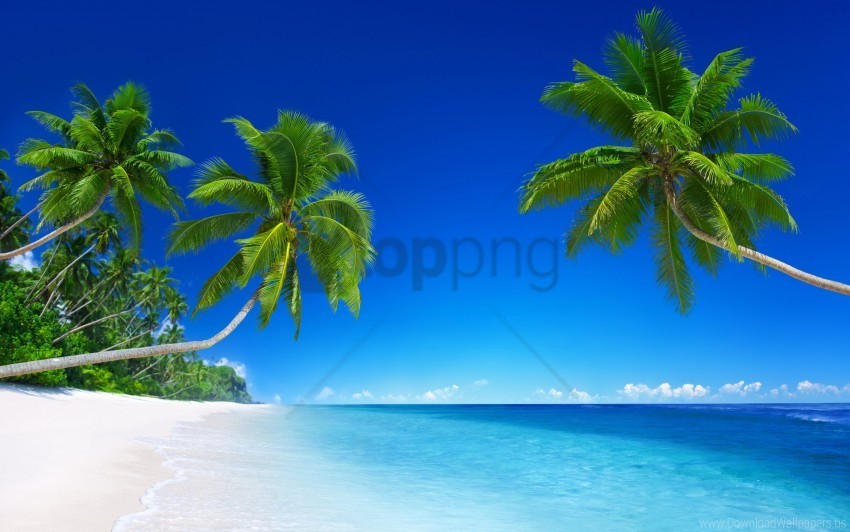 beach paradise tropical wallpaper Isolated Object in Transparent PNG Format