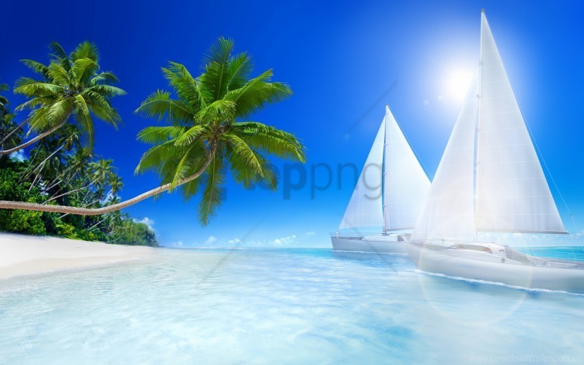 beache tropical wallpaper Isolated Object on Clear Background PNG