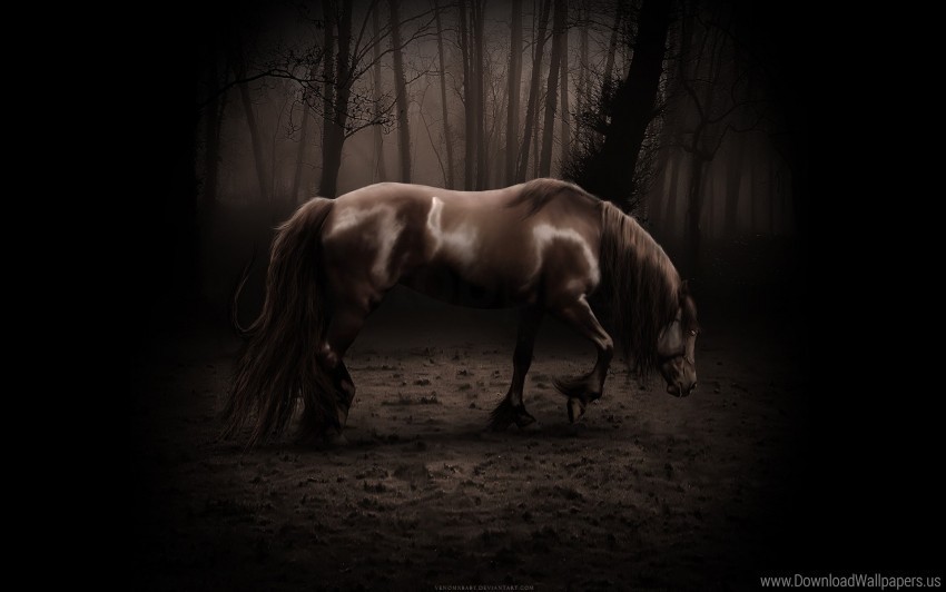 beautiful forest horse shadow walk wallpaper PNG Illustration Isolated on Transparent Backdrop