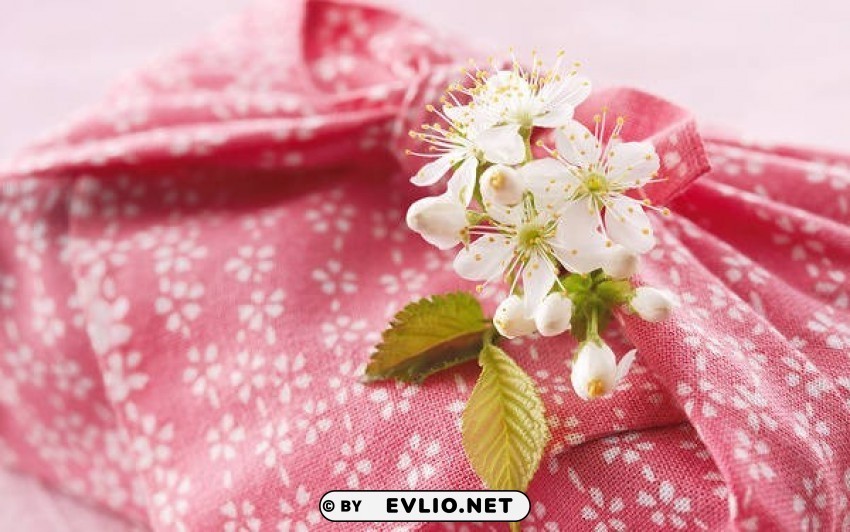 beautifulwith sense of spring and cherry blossoms Clear Background PNG Isolated Element Detail