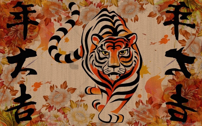 big cat chinese striped tiger wallpaper Transparent PNG Isolated Illustrative Element
