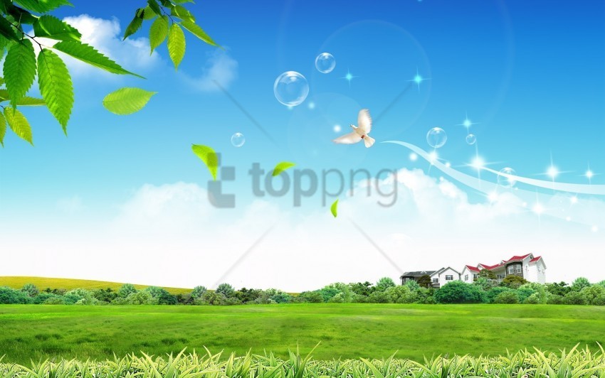 bird bubbles house lawn tree wallpaper Transparent background PNG images comprehensive collection