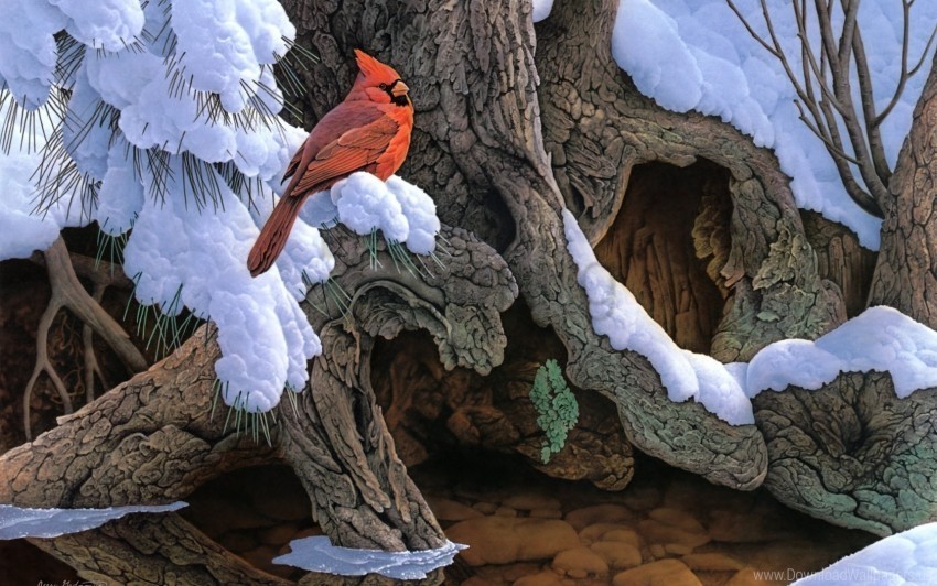 bird cardinal painting snow tree winter wallpaper Transparent PNG images collection