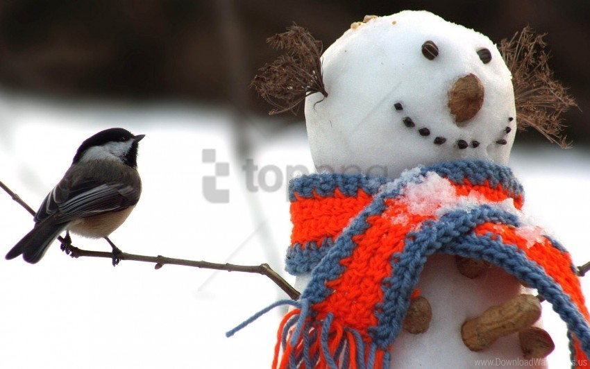 bird scarf snow snowman tomtit winter wallpaper PNG transparent photos for presentations