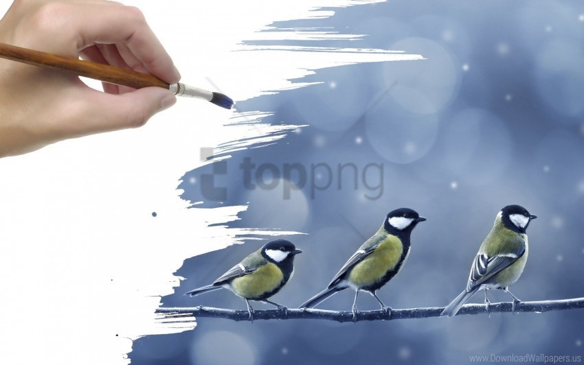 birds branch hand illustration snow tits wrist wallpaper High-quality PNG images with transparency