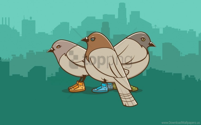 birds drawing pigeons wallpaper PNG images with no fees