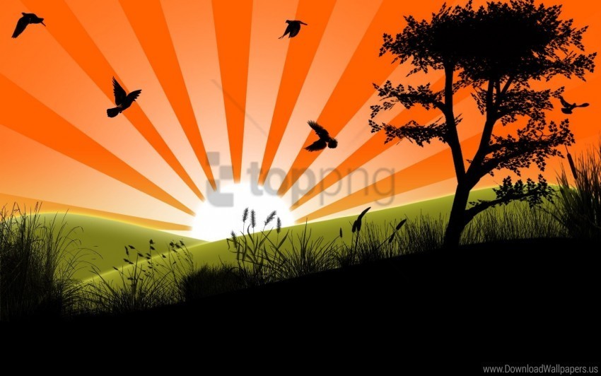 birds grass line shadow trees wallpaper High-quality transparent PNG images