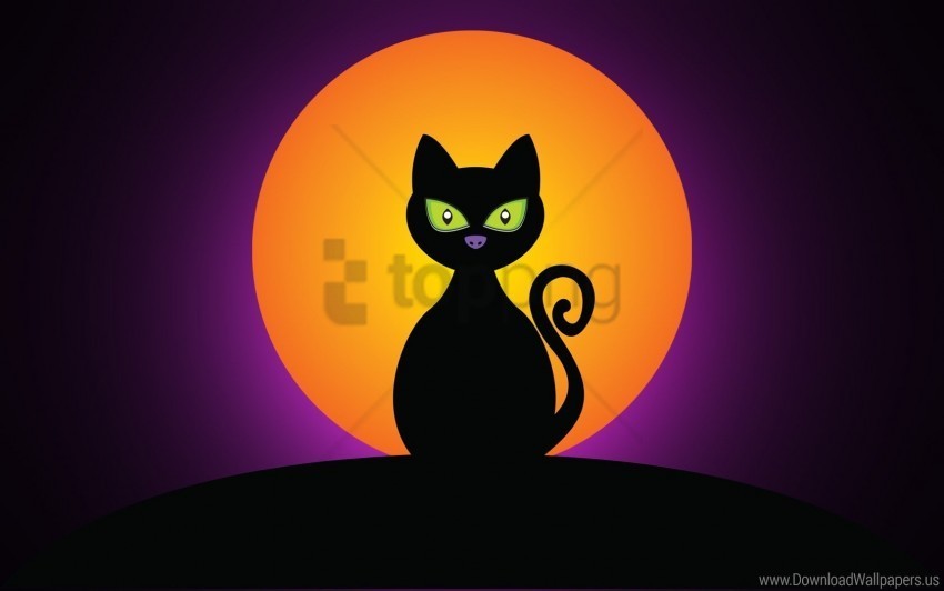 black cat halloween moon silhouette wallpaper Clear PNG