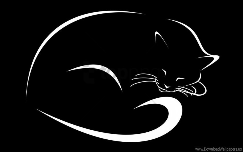 black cat minimalism vector wallpaper Isolated Graphic with Transparent Background PNG