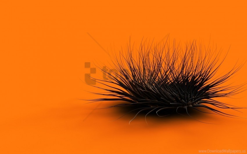 black feathers form orange wallpaper Transparent PNG graphics complete collection