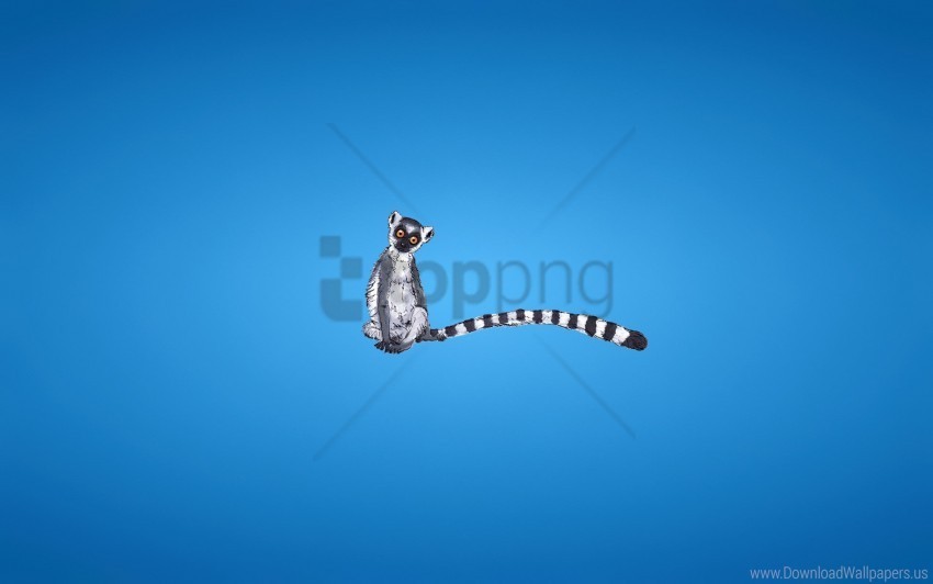 blue lemur minimalism striped tail wallpaper PNG images with no background essential