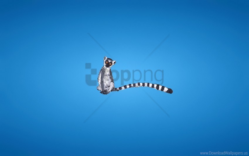 Blue Lemur Minimalism Striped Tail Wallpaper PNG Images With No Background Essential