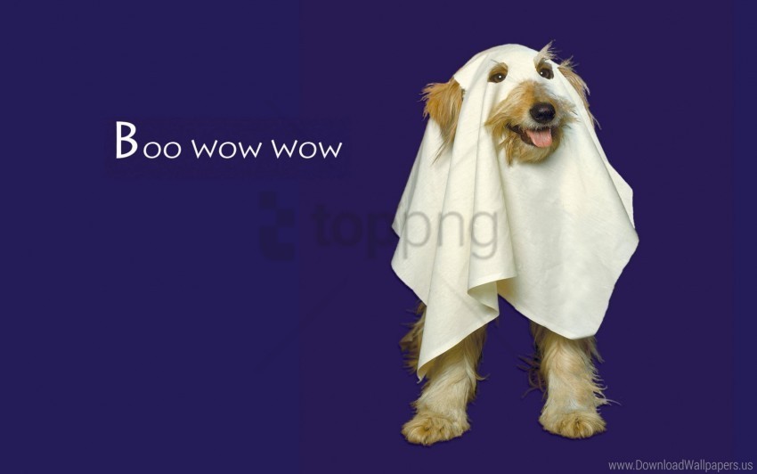boo wow wow wallpaper Clear background PNG elements