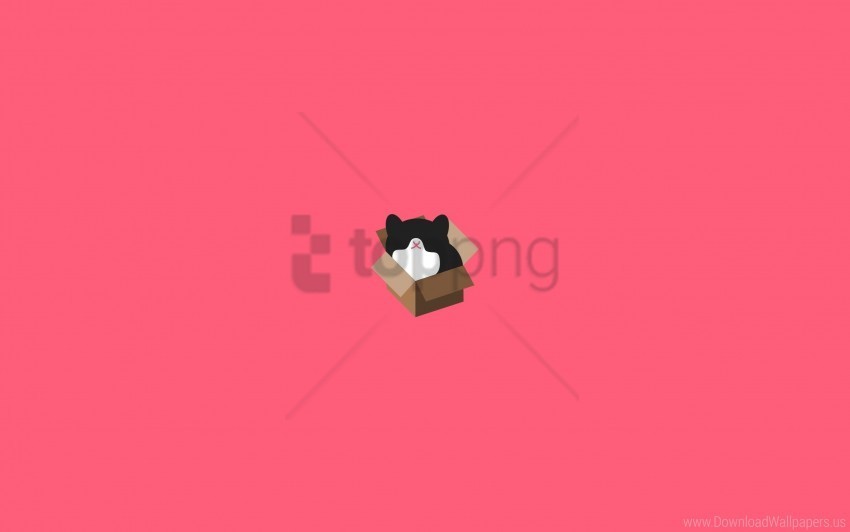 box cat design minimalism wallpaper PNG Isolated Illustration with Clarity