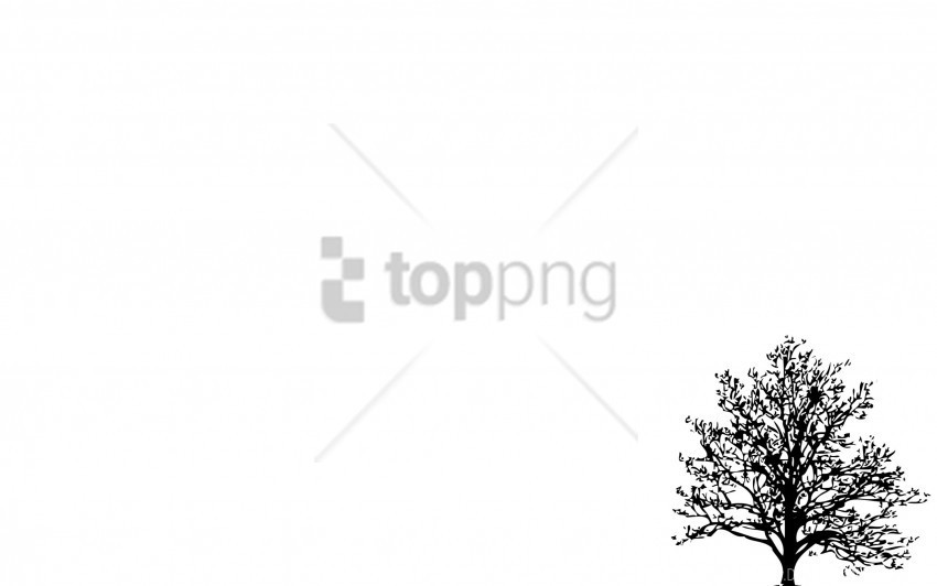 branches tree vector wallpaper PNG files with no backdrop wide compilation