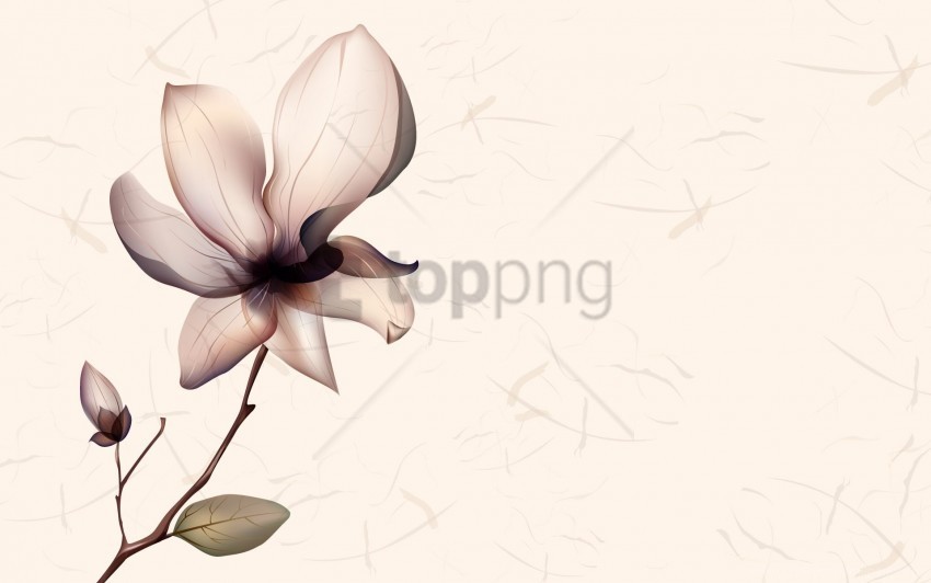 bright drawing flower shiny wallpaper PNG with clear background set