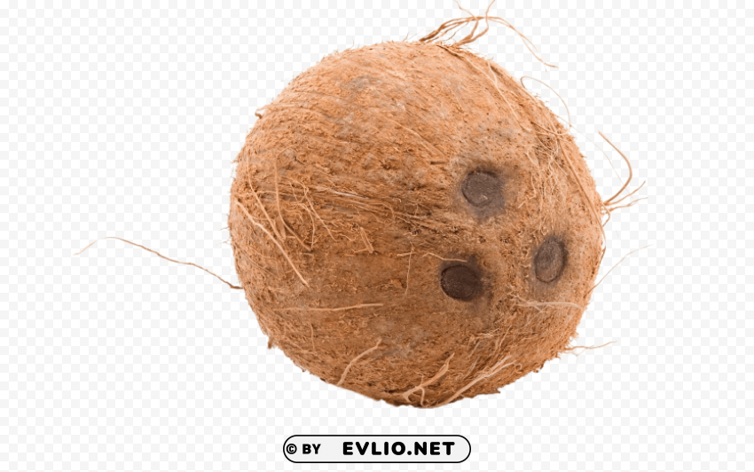 Brown Cocunut Transparent PNG Images Set