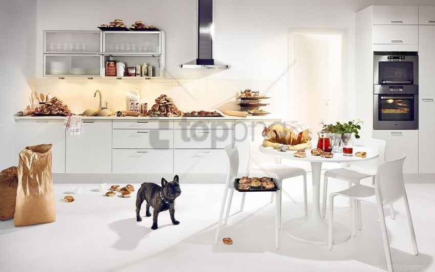 bulldog dog food kitchen wallpaper Isolated Design Element in HighQuality PNG