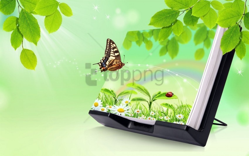 Butterfly Greens Stand Wallpaper PNG Images With Clear Alpha Channel